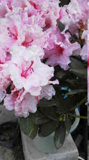 工藤公園さんへ行ってきました