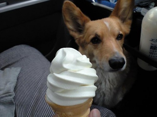 ソフトクリーム