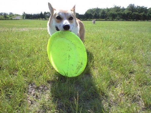 楽しかったね～！