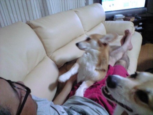 ルークとすみれ