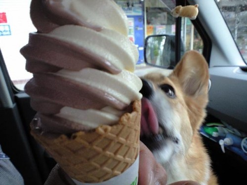 ボクにもちょーだい!