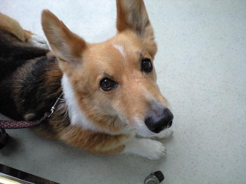 只今オイル交換中