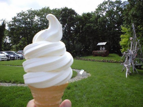 日新の丘のソフトクリーム