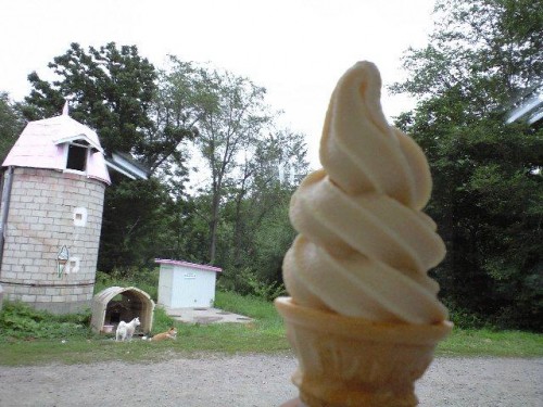 想いやりファーム