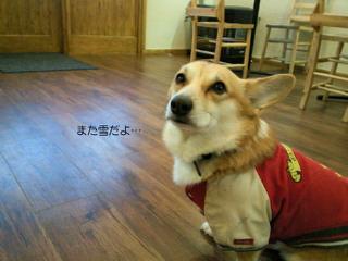 営業時間変更のお知らせ