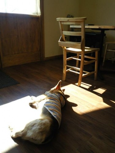 営業時間変更のお知らせ