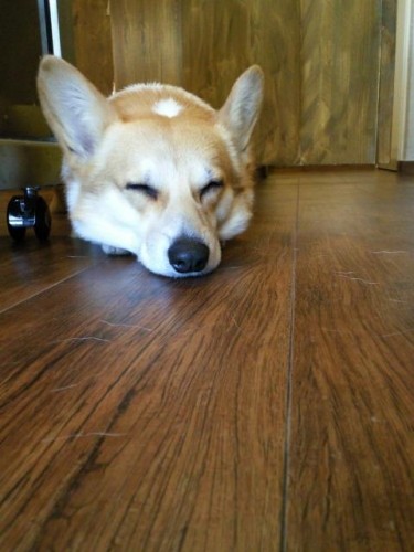 5月のイベント情報