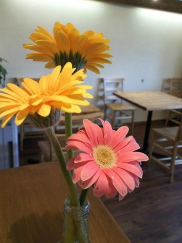 本日5時で閉店します