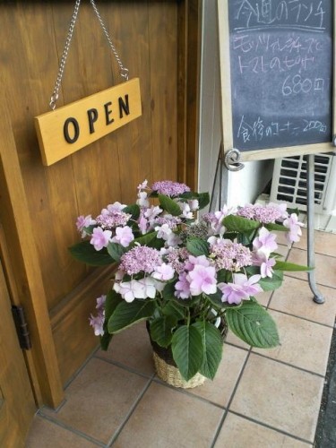 本日シッターの為、5時で閉店します