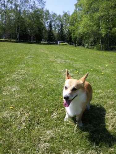 出勤前のひととき