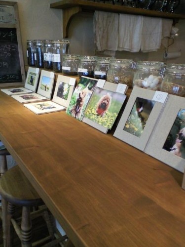 写真コンテスト開催中