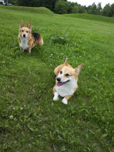 出勤前のひととき