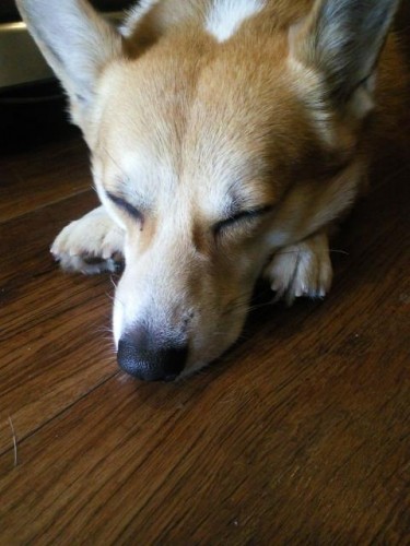 営業してます！