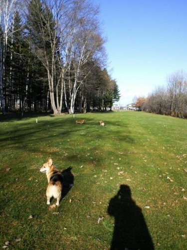 午後のひととき