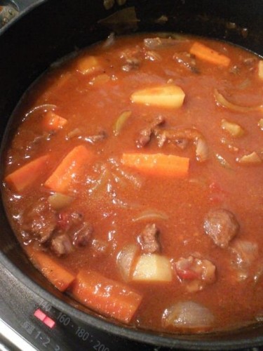 今週のランチ♪♪