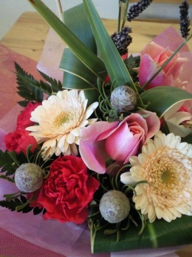 今日で一周年たちました