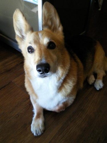 マイクロバブル♪