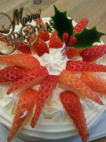 本日、ランチはお休みです。