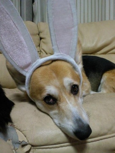 今年もお世話になりました