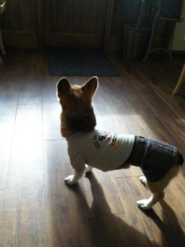 本日５時で閉店します