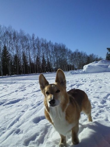 今週のランチ♪