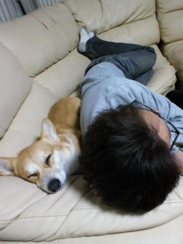 お疲れですね~!