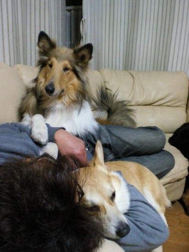 明日の営業時間