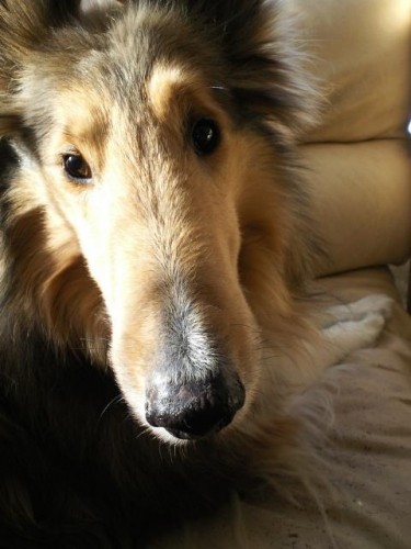 本日2時からの営業になります