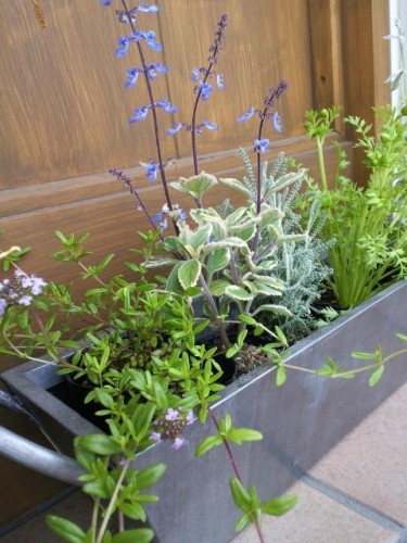 明日の営業時間