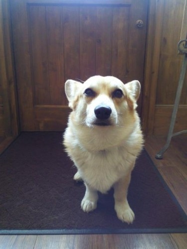 今週のランチ♪