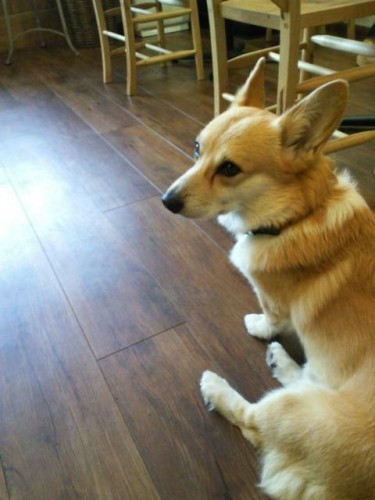 今週のランチ♪