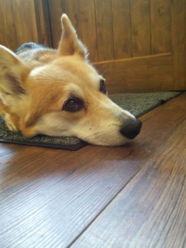 今週のランチ♪