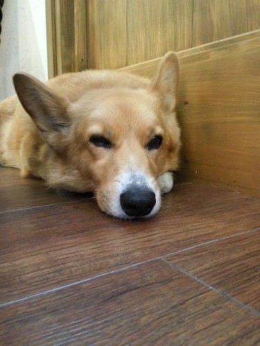 今週のランチ♪