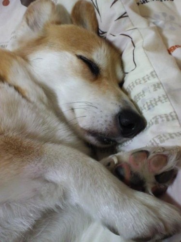 すっかり遅くなりました…