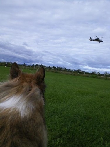 ライルとヘリコプター