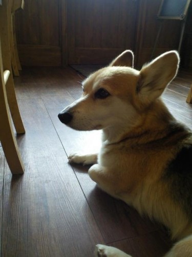 今週のランチ♪