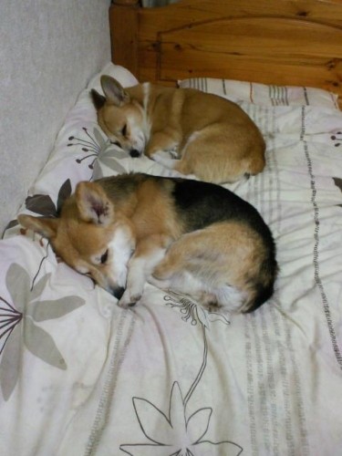 シンクロしてる！