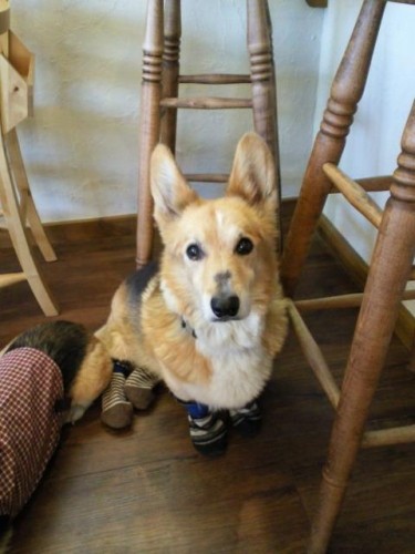 今週のランチ♪