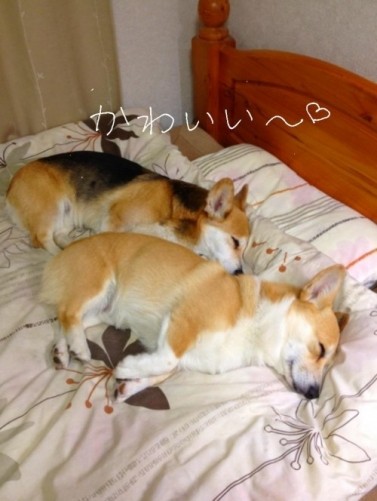 またシンクロ！