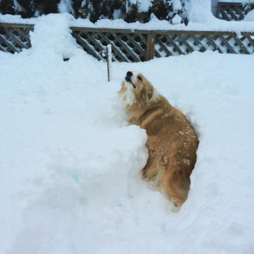 風が強い