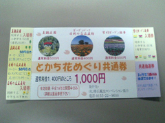 「とかち花めぐり共通券」