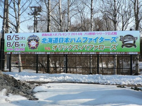 今年もプロ野球がやってくる！