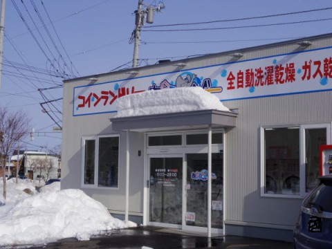 乾燥機は殺菌効果あり