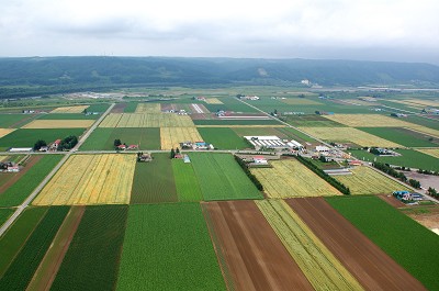 空撮機不調のため昨年の景色