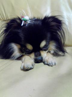 写真が添付できなかったのでもう一度