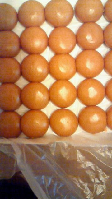 ベコチュウさんとかぶってしまいました