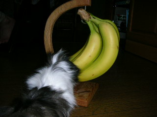 バナナが好き