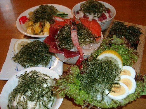 海ぶどうと言えば、あまやどり