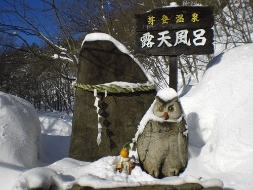 芽登温泉 2010.01.01 元旦の風景♪