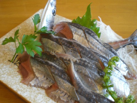 今夜はさんま刺しありますよ!